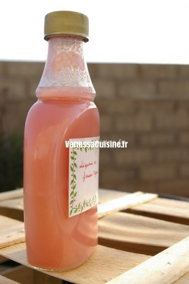 recette de liqueur de fraises tagada