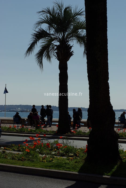 36369485 how is the life in Cannes ? Spa du Martinez et Volupté