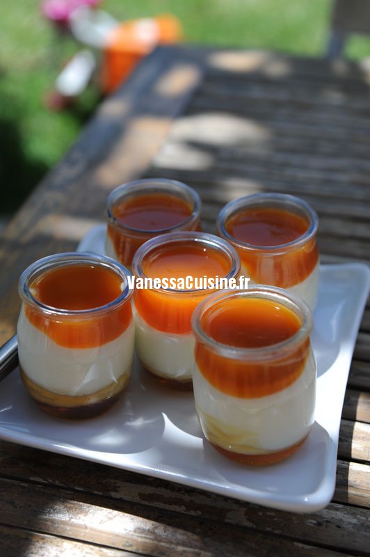 Photo culinaire de yaourts au miel et coulis d'abricots