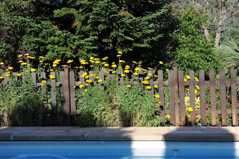 La piscine et sa barrière fleurie