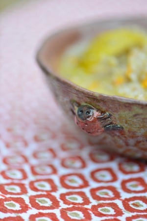 Brouet de sarrasin au poulet et légumes - Buckweat gruel with chicken and vegetables - Vanessa Romano photographe et styliste culinaire (1)