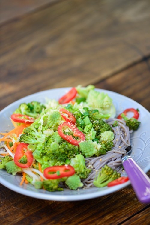 recette de salade asiatique de nouilles soba