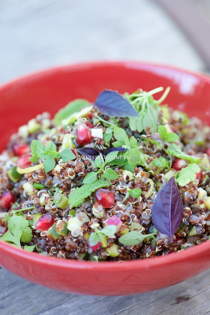salade quinoa rouge noir legumes Salade de quinoa rouge et noir, légumes et sauce thaïe