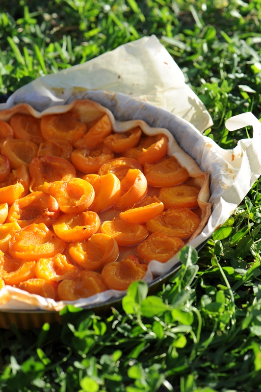 tarte sablee abricot
