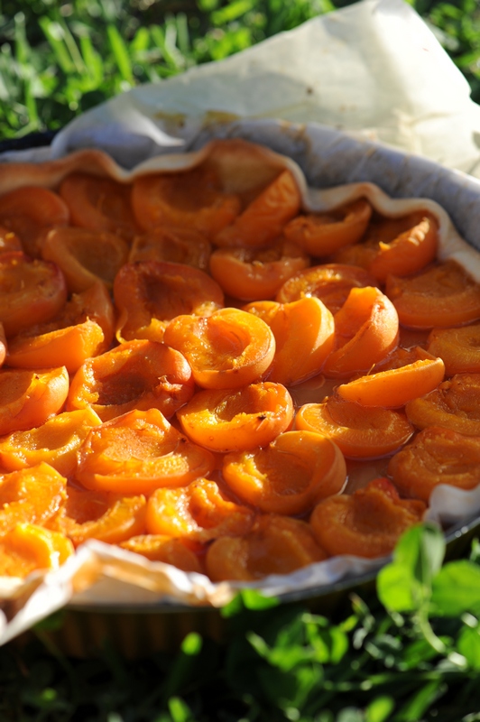 recette de Tarte sablée aux abricots