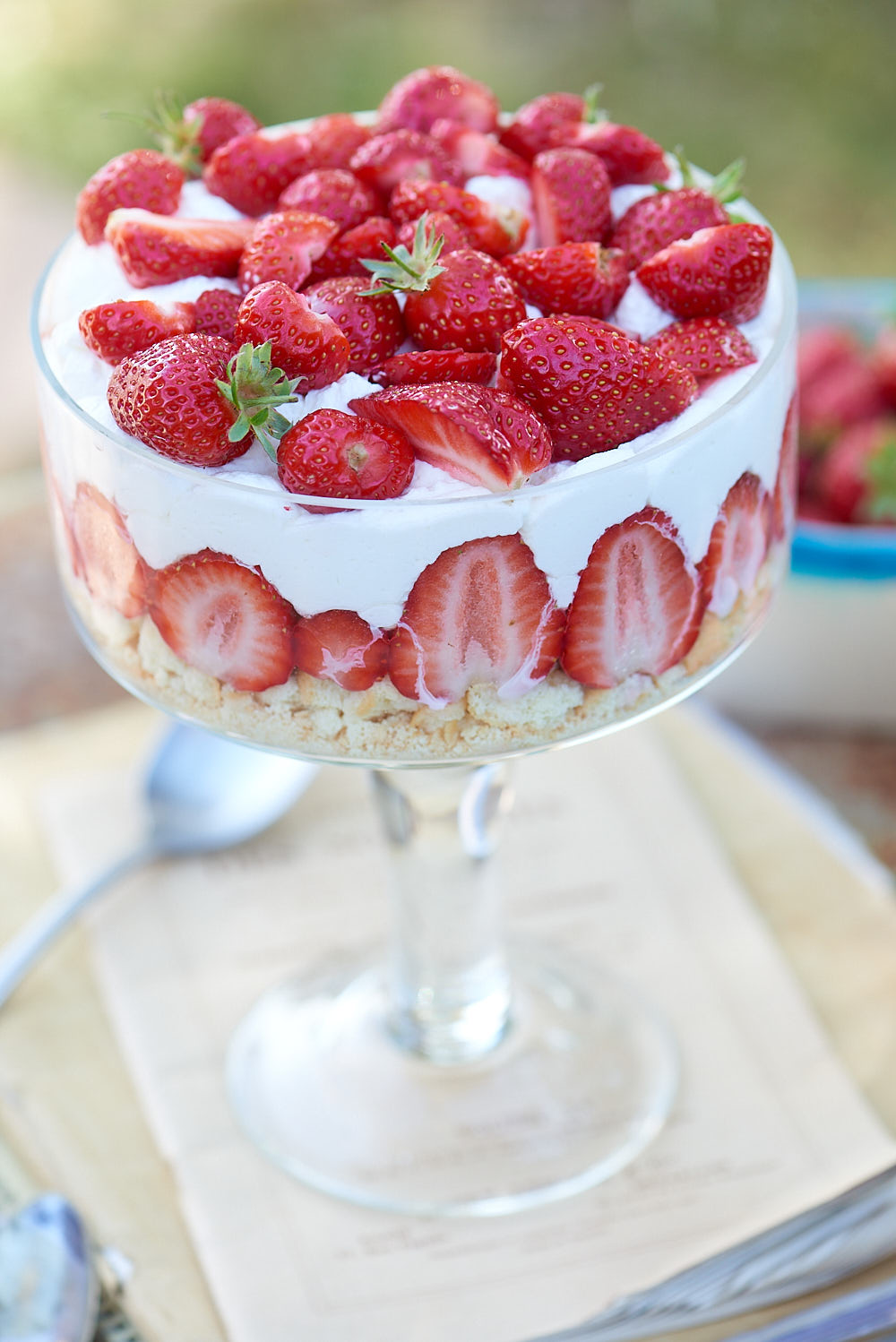 photo culinaire de fraisier express