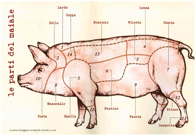 decoupe du cochon Pancetta : Recette, Origine, utilisation et particularités