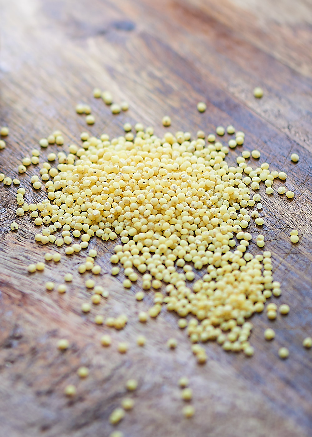 millet en gros plan Millet : une céréale nutritive et polyvalente